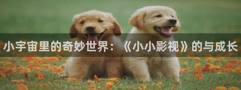 如此可爱的我们星辰影院