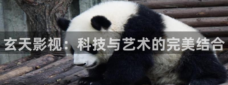 星辰影院璀璨人生