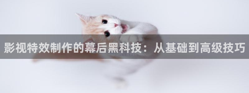 他是谁星辰影院免费观看