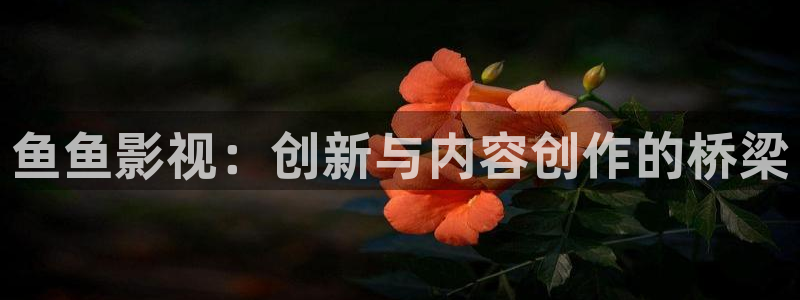 沙尘暴电视剧全集免费观看星辰影院